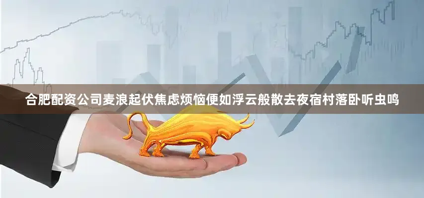合肥配资公司麦浪起伏焦虑烦恼便如浮云般散去夜宿村落卧听虫鸣