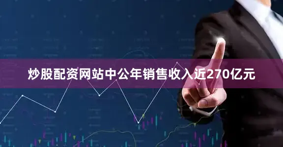 炒股配资网站中公年销售收入近270亿元