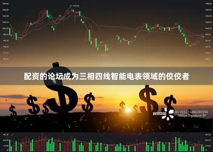 配资的论坛成为三相四线智能电表领域的佼佼者
